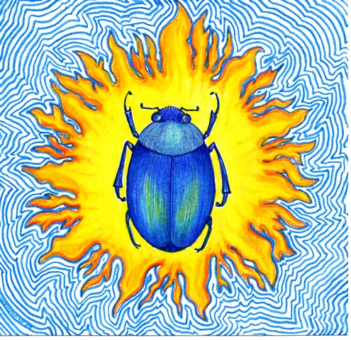 scarab495x480.jpg