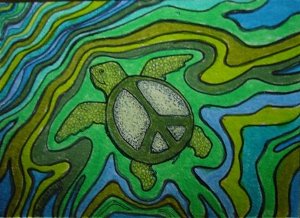  seaturtle300x218.jpg