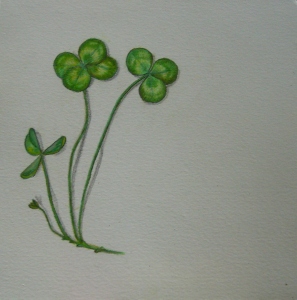  clovers297x300.jpg