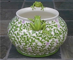  treefrogpot300x250.jpg