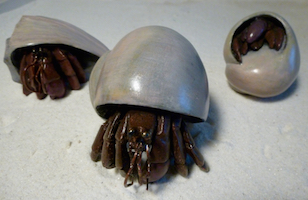  hermit308x200.jpg