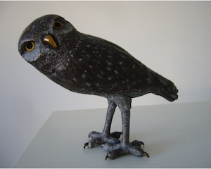  owl300x240.jpg
