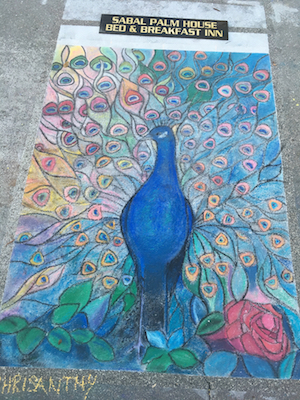  peacock300x400.jpg